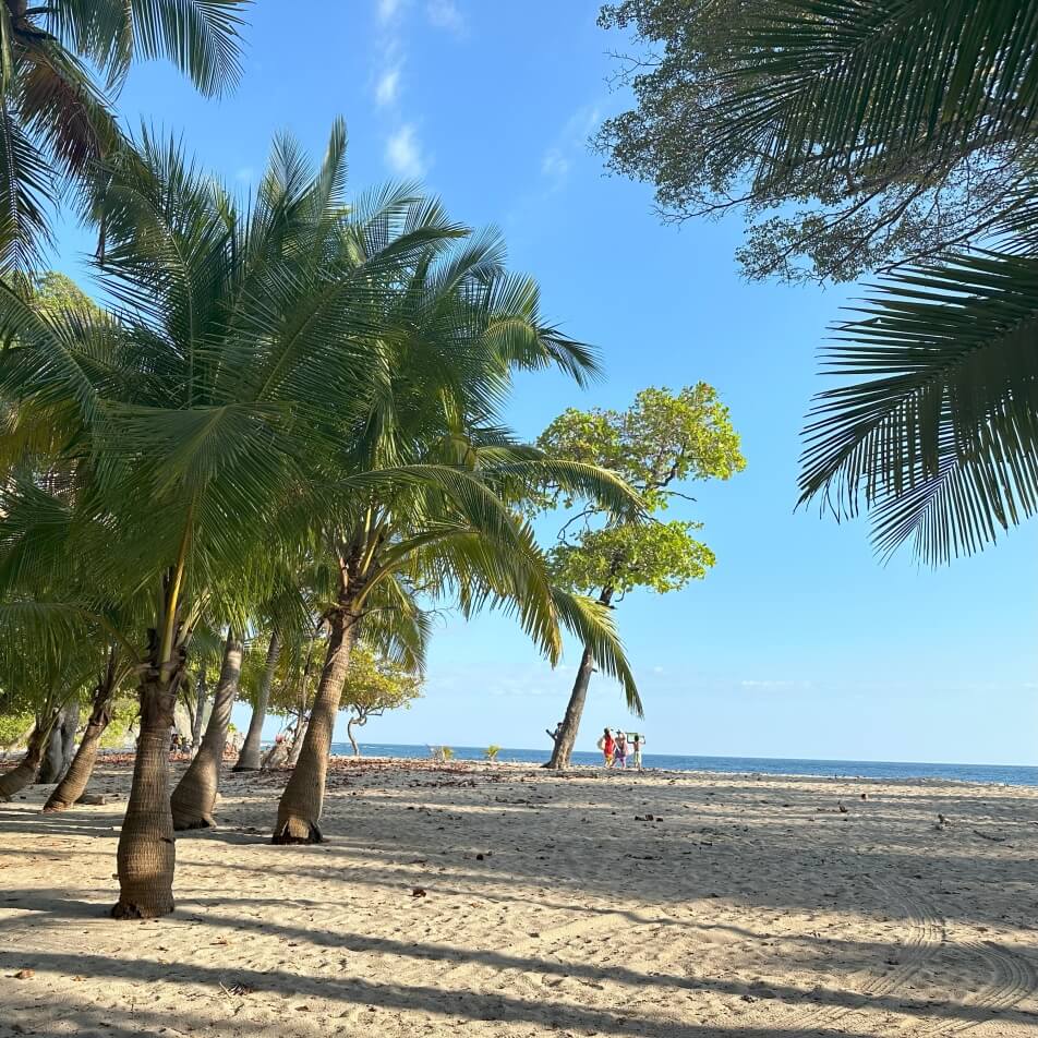 Barrigona Beach Barrigona Beach