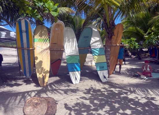 Surf board rental at Samara beach