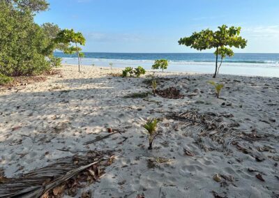 Beach of Barigona