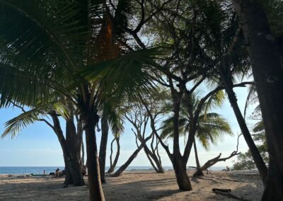 Beautiful beach of Barigona