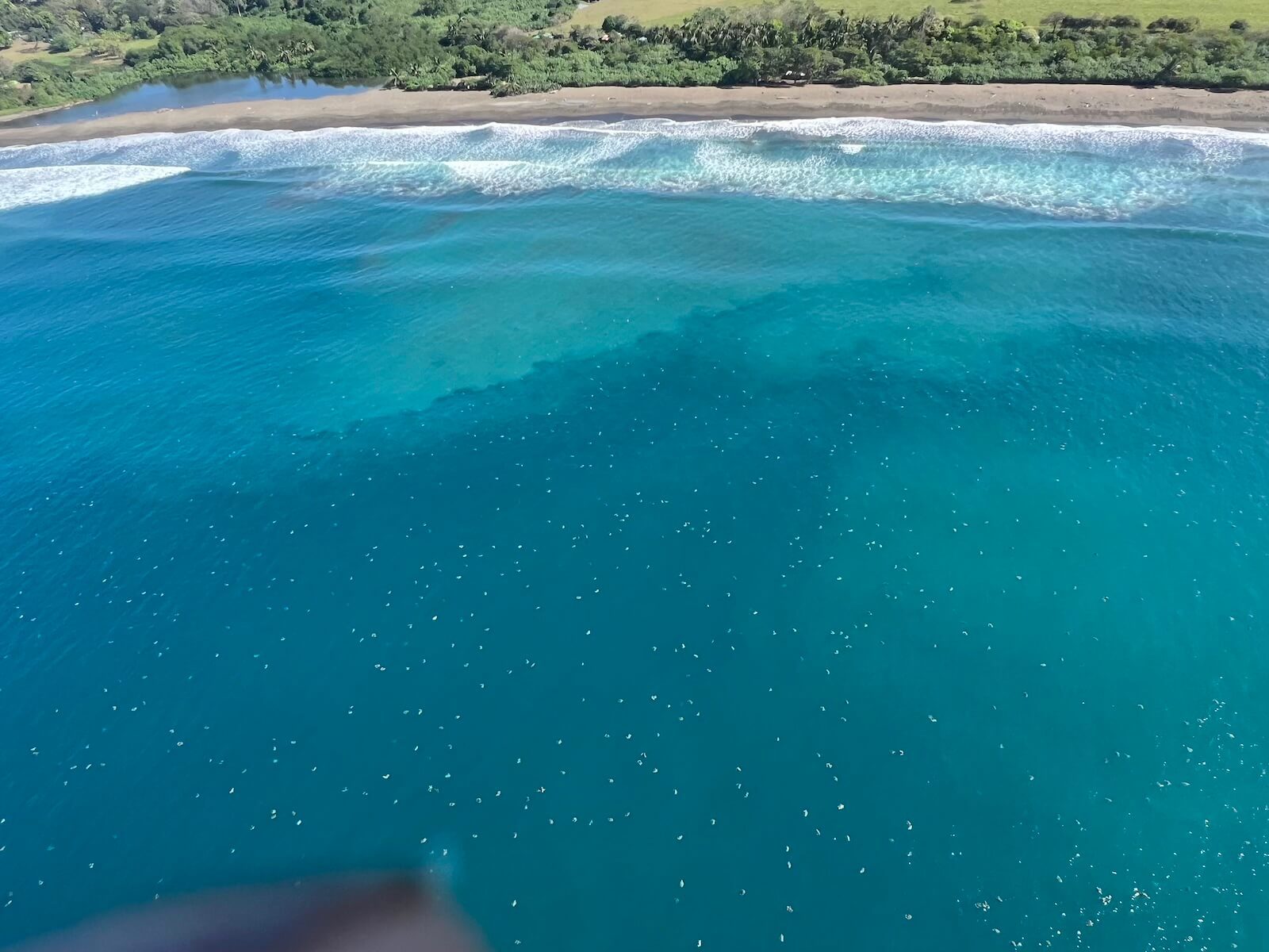Flying over the Arribada in Nosara, Costa Rica