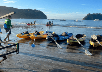 Kayak at Sea Tour and Snorkeling