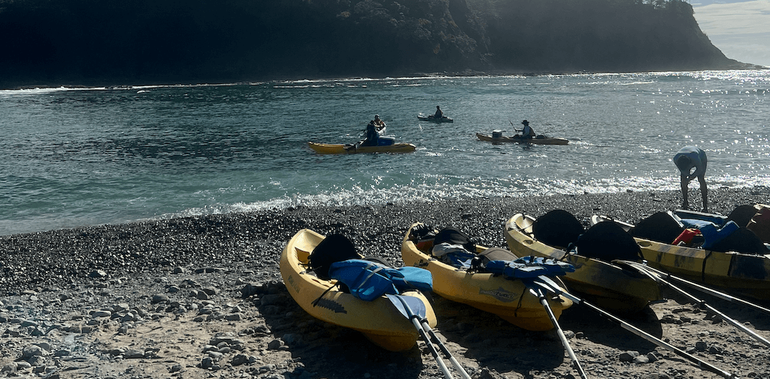 Sea Kayaking Tour and Snorkeling