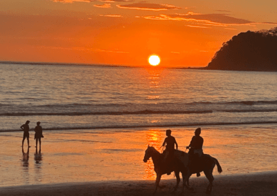 Horseback riding at Samara Beach during sunset